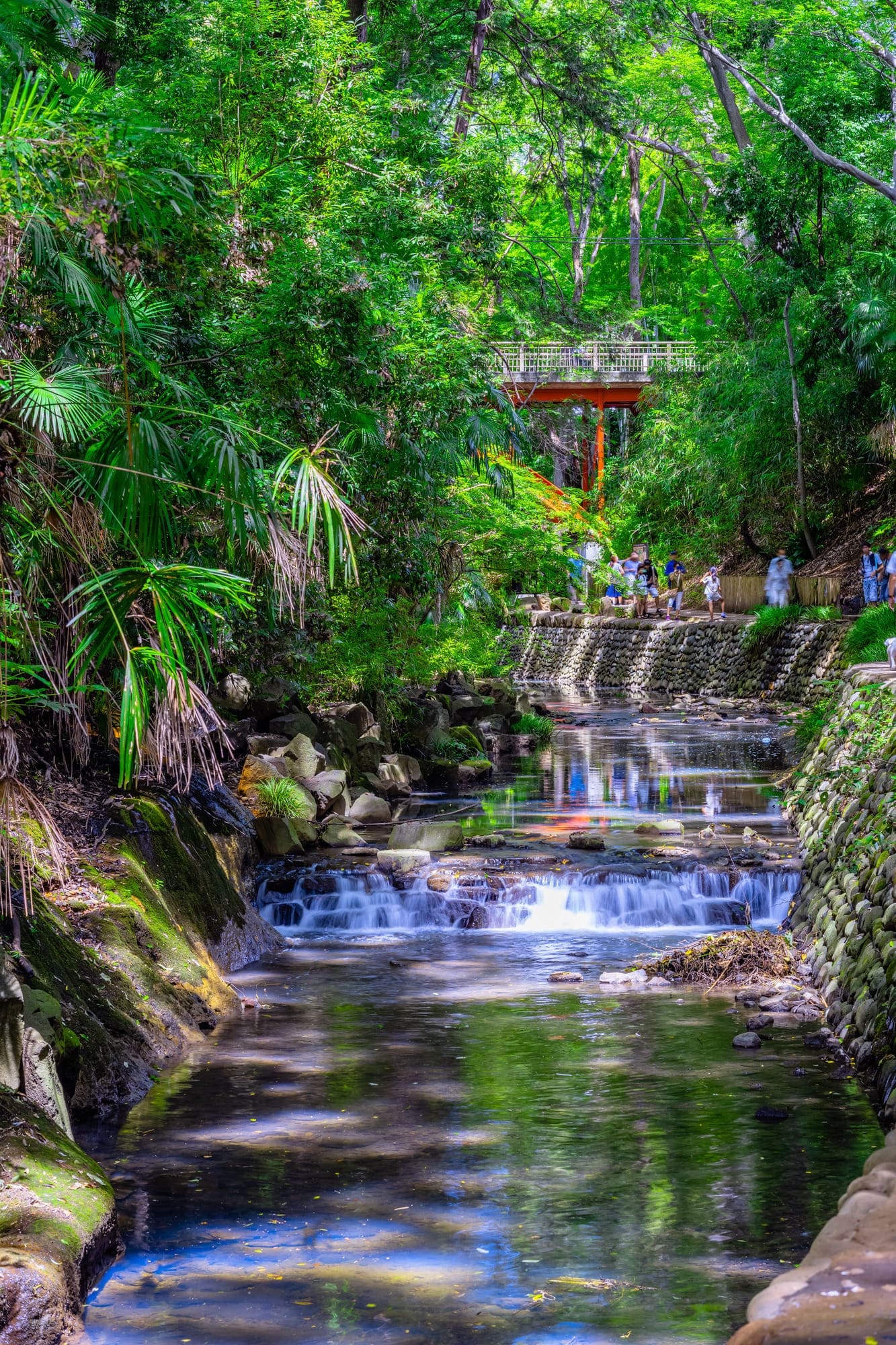 Tokyo Nature Walking Tour | TOMOGO!
