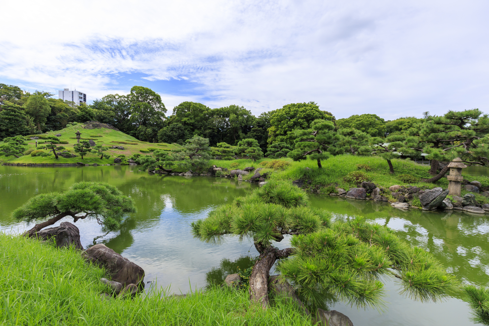 手のひら散歩 庭園編 Japanese Gardens and Cultural Museum in Tokyo Tours | TOMOGO!